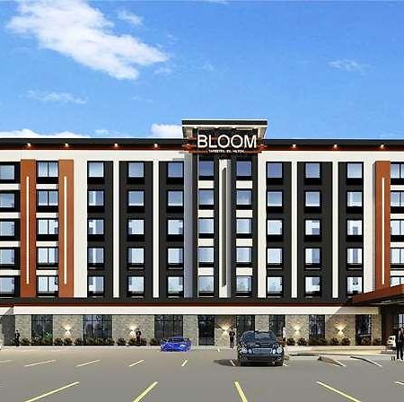 Bloom Mississauga Tapestry Collection By Hilton酒店 外观 照片